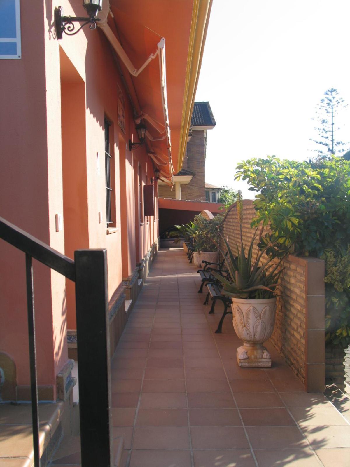 Hostal Noli Чиклана-де-ла-Фронтера Экстерьер фото